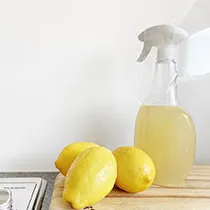 Cleaning category