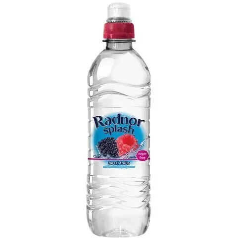 Radnor Splash Forest Fruits Flavoured Water 24x500ml